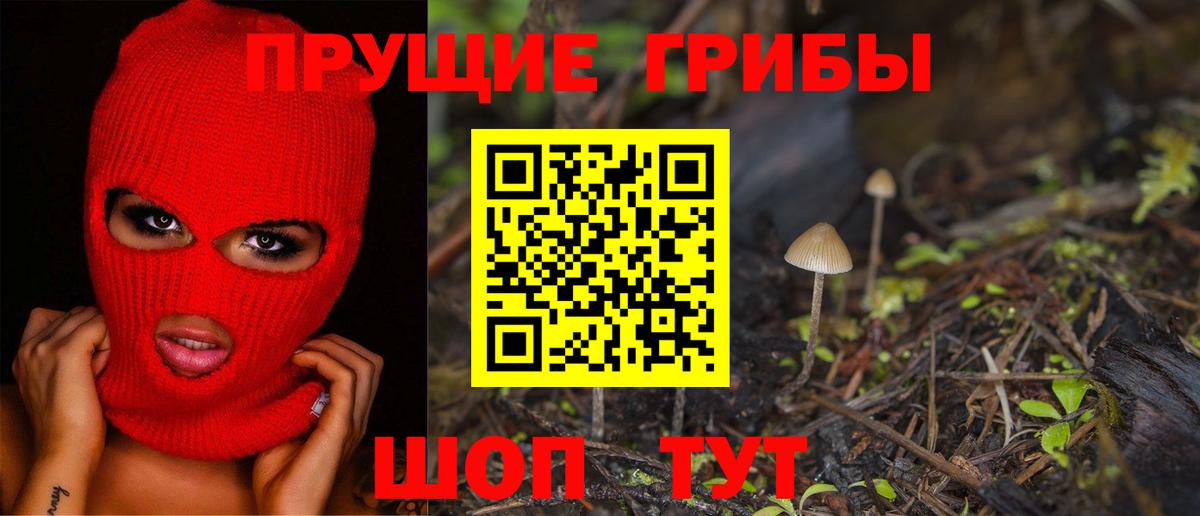Псилоцибиновые грибы Magic Shrooms  Галлюциногенные грибы GOLDEN TEACHER  Советская Гавань  Вход с VPN 